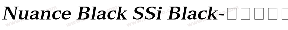 Nuance Black SSi Black字体转换